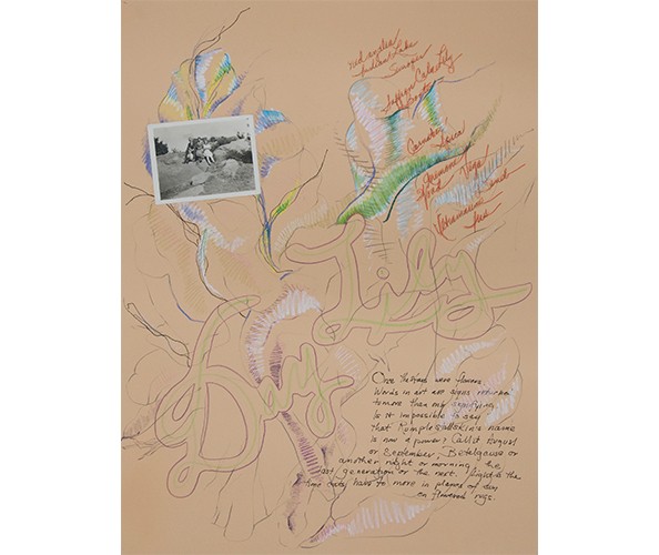 Rosemary Mayer, In Time Order (Day Lily), 1978. Ink, oil crayon, photograph on paper, 23 3/4 x 18 in. Courtesy the estate of Rosemary Mayer and Gordon Robichaux, New York