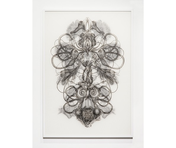 Angela Su, Rorschach Test No. 1, 2015. Ink on drafting film, 151.5 x 105 cm.