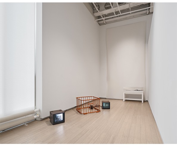 Installation view of "Growing Sideways: Performing Childhood." Photograph by Olympia Shannon. Installation view of "Growing Sideways: Performing Childhood." Photograph by Olympia Shannon.