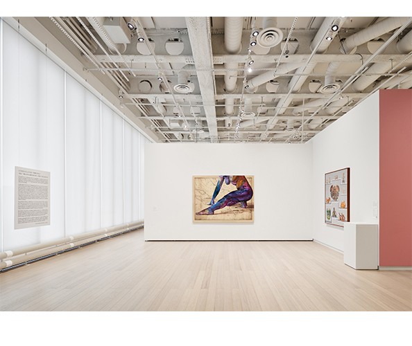Installation view of works by Firelei Báez and Gala Porras-Kim in "A Speculative Impulse: Art Transgressing the Archive,” on view at the Wallach Art Gallery, Columbia University, March 25-April 19, 2023. Photograph by Olympia Shannon