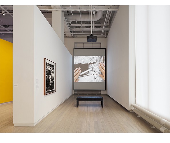 Installation view of works by Stephanie Syjuco in "A Speculative Impulse: Art Transgressing the Archive,” on view at the Wallach Art Gallery, Columbia University, March 25-April 19, 2023. Photograph by Olympia Shannon
