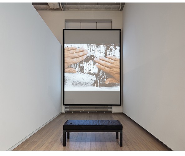 Installation view of work by Stephanie Syjuco in "A Speculative Impulse: Art Transgressing the Archive,” on view at the Wallach Art Gallery, Columbia University, March 25-April 19, 2023. Photograph by Olympia Shannon
