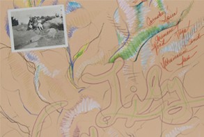 Rosemary Mayer, In Time Order (Day Lily), 1978, detail. Ink, oil crayon, photograph on paper 23 3/4 x 18 in. Courtesy the estate of Rosemary Mayer and Gordon Robichaux, New York.
