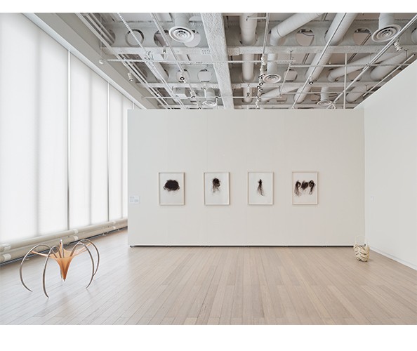 Installation view of "Traces of Care," on view at the Wallach Art Gallery from March 29 - April 13, 2025. Photograph by Olympia Shannon. Courtesy the Wallach Art Gallery. Installation view of "Traces of Care," on view at the Wallach Art Gallery from March 29 - April 13, 2025. Photograph by Olympia Shannon. Courtesy the Wallach Art Gallery.