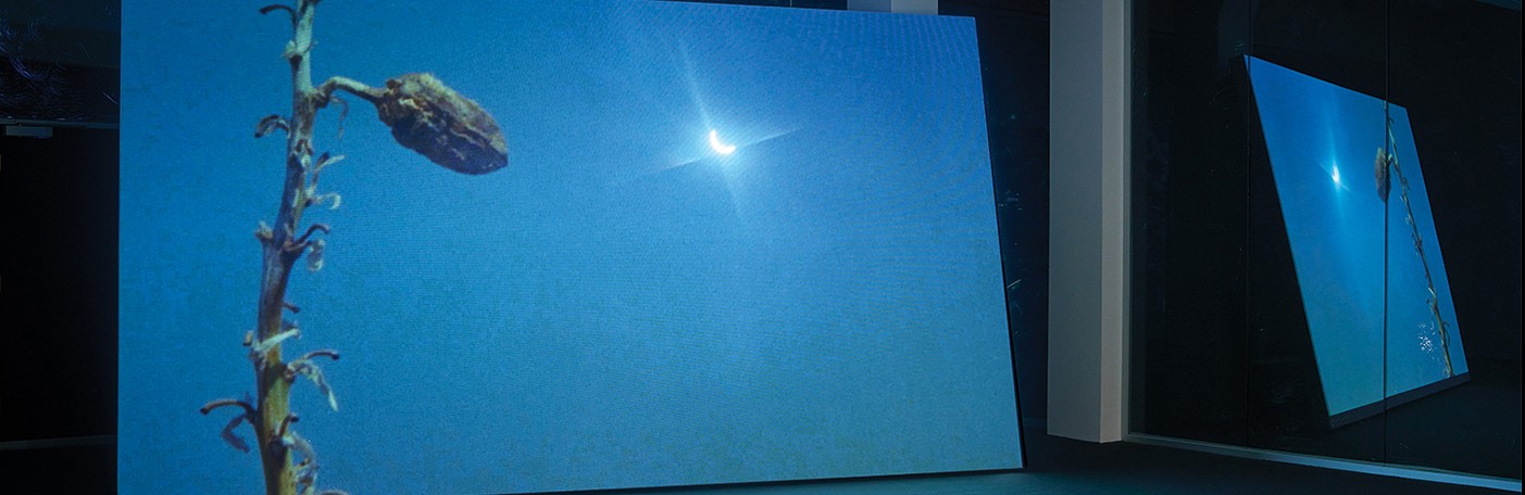 A.K. Burns. Untitled (eclipse), 2019. Single-channel 16mm film transfer to HD video, silent, color; 13 min; installation view