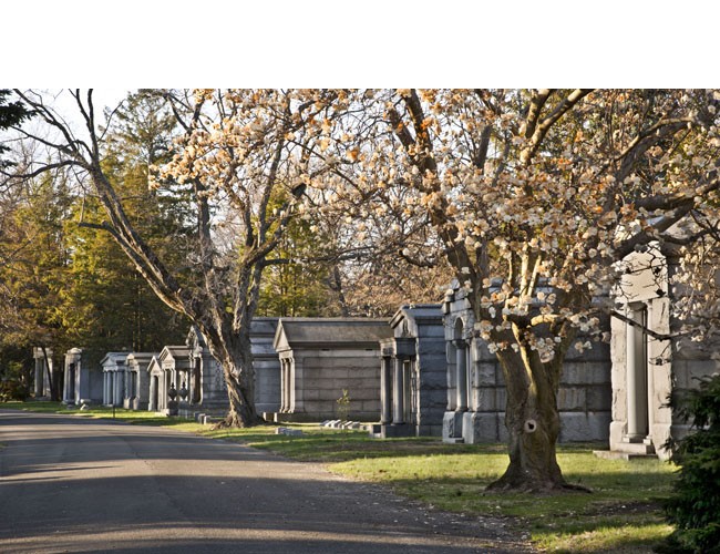 Park Avenue lined with modestly-scaled mausoleums set close together on small lots. Photograph by Gavin Ashworth. Courtesy The Woodlawn Cemetery.