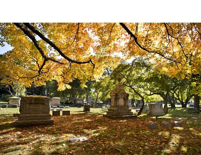 View of Woodlawn Cemetery in the fall. Photograph by Gavin Ashworth. Courtesy The Woodlawn Cemetery.