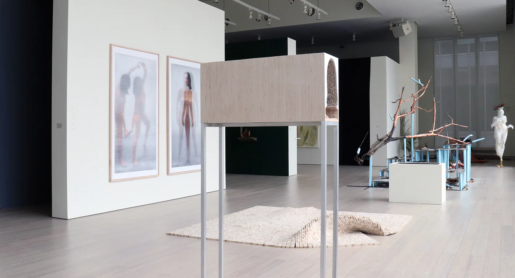 Installation view of the 6th floor 2019 MFA Thesis Exhibition, on view at the Wallach Art Gallery, Columbia University April 27 – May 26, 2019. Photograph by Eddie José Bartolomei. Courtesy the Wallach Art Gallery.