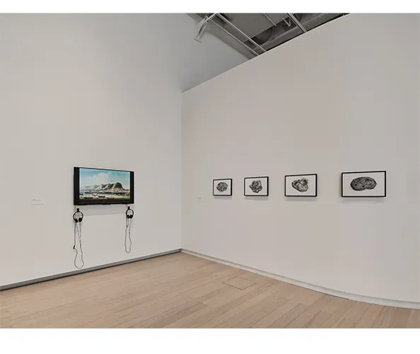 Installation view of Angela Su: Melencolia, on view at the Wallach Art Gallery February 2 - March 10, 2024. Photograph by Olympia Shannon.