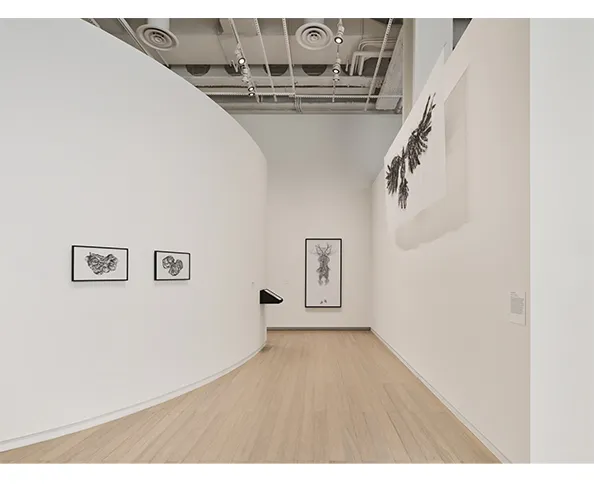 Installation view of Angela Su: Melencolia, on view at the Wallach Art Gallery February 2 - March 10, 2024. Photograph by Olympia Shannon.
