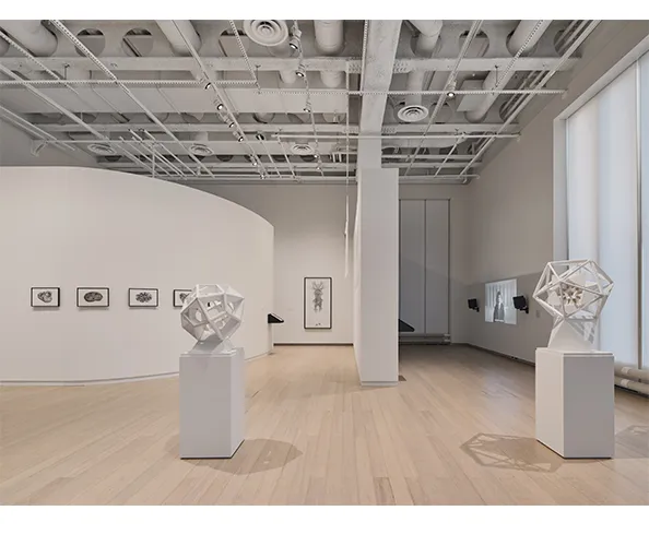 Installation view of Angela Su: Melencolia, on view at the Wallach Art Gallery February 2 - March 10, 2024. Photograph by Olympia Shannon.