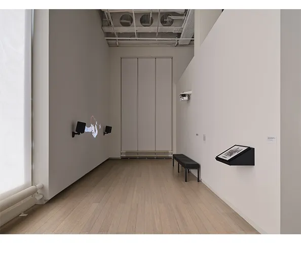 Installation view of Angela Su: Melencolia, on view at the Wallach Art Gallery February 2 - March 10, 2024. Photograph by Olympia Shannon.