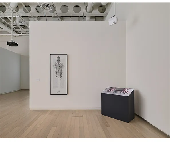 Installation view of Angela Su: Melencolia, on view at the Wallach Art Gallery February 2 - March 10, 2024. Photograph by Olympia Shannon.