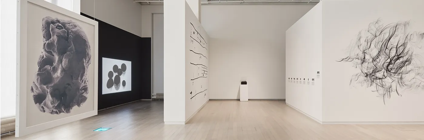 Installation view of the solo exhibition of work by Autumn Knight titled "Nothing #26: The Potential of Nothing is Everything" on view at the Wallach Art Gallery Feb 3 - March 12, 2023