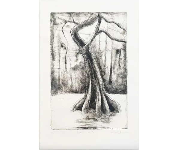 Didier William, "Cypress 2," 2024. Multi-plate etching, intaglio spit-bite on paper; 22.5 x 15 in. Image courtesy the artist.