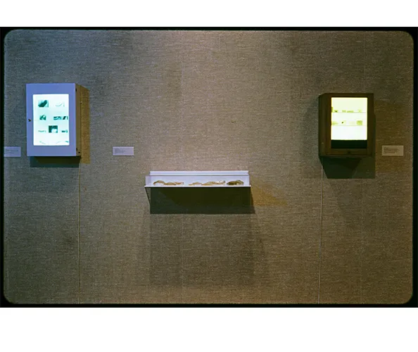 Installation view from the exhibition “Experiments in the Everyday: Allan Kaprow and Robert Watts—Events, Objects, Documents” on view at the Wallach Art Gallery, Columbia University, from October 6 - December 11, 1999.