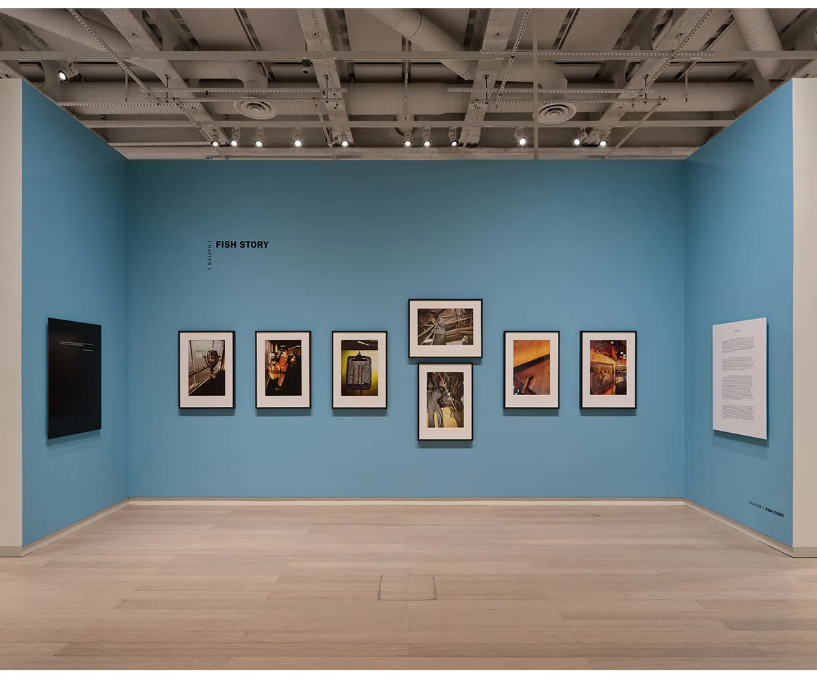 Installation view of “Allan Sekula: Fish Story,” on view at the Wallach Art Gallery from October 2 to December 20, 2026. Photograph by Olympia Shannon.