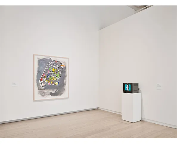 Installation view of "Growing Sideways: Performing Childhood." Photograph by Olympia Shannon.