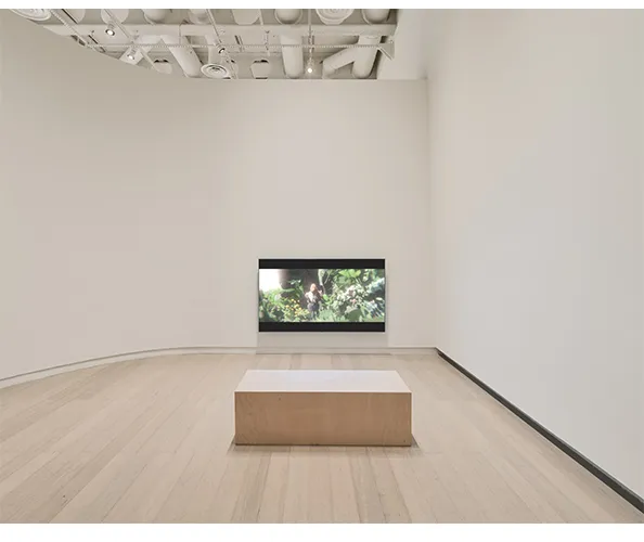 Installation view of "Growing Sideways: Performing Childhood." Photograph by Olympia Shannon.
