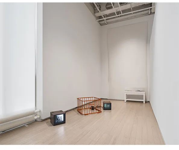 Installation view of "Growing Sideways: Performing Childhood." Photograph by Olympia Shannon.