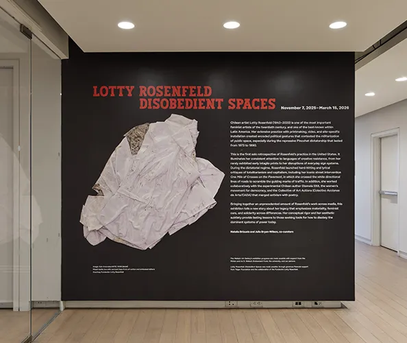 Installation view of the exhibition "Lotty Rosenfeld: Disobedient Spaces" on view at the Wallach Art Gallery from November 7, 2025 - March 15, 2026. Photograph by Olympia Shannon.