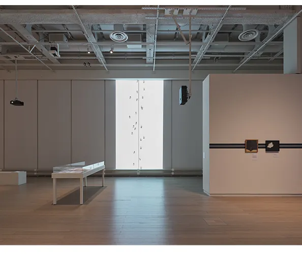 Installation view of the exhibition "Lotty Rosenfeld: Disobedient Spaces" on view at the Wallach Art Gallery from November 7, 2025 - March 15, 2026. Photograph by Olympia Shannon.
