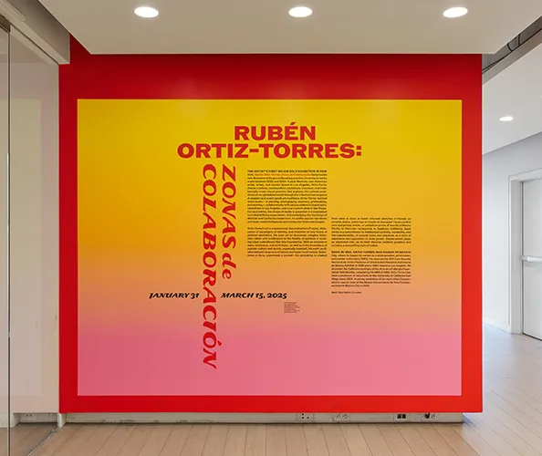 Installation view of "Ruben Ortiz-Torres: Zonas de Colaboración." Photograph by Olympia Shannon.