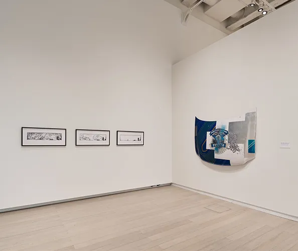 Installation view of "Ruben Ortiz-Torres: Zonas de Colaboración." Photograph by Olympia Shannon.