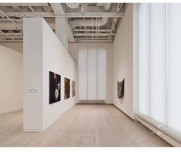 Installation view of "Ruben Ortiz-Torres: Zonas de Colaboración." Photograph by Olympia Shannon.