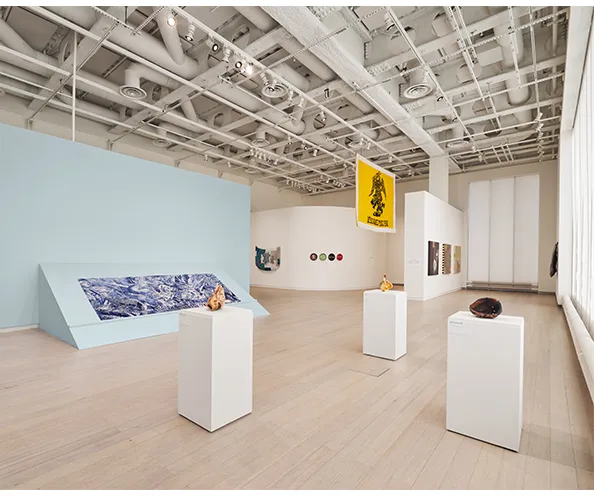 Installation view of "Ruben Ortiz-Torres: Zonas de Colaboración." Photograph by Olympia Shannon.
