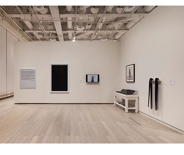 Installation view of the exhibition "Skins: Not Our Own," on view at the Wallach Art Gallery from March 28 - April 12, 2026. Photograph by Olympia Shannon. Courtesy the Wallach Art Gallery.