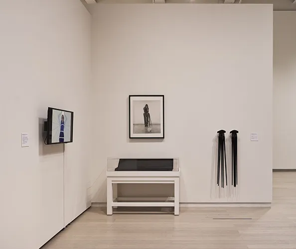 Installation view of the exhibition "Skins: Not Our Own," on view at the Wallach Art Gallery from March 28 - April 12, 2026. Photograph by Olympia Shannon. Courtesy the Wallach Art Gallery.