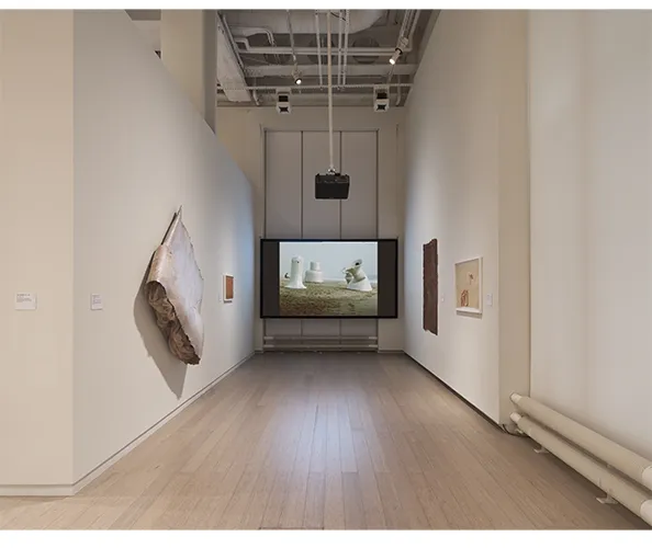 Installation view of the exhibition "Skins: Not Our Own," on view at the Wallach Art Gallery from March 28 - April 12, 2026. Photograph by Olympia Shannon. Courtesy the Wallach Art Gallery.