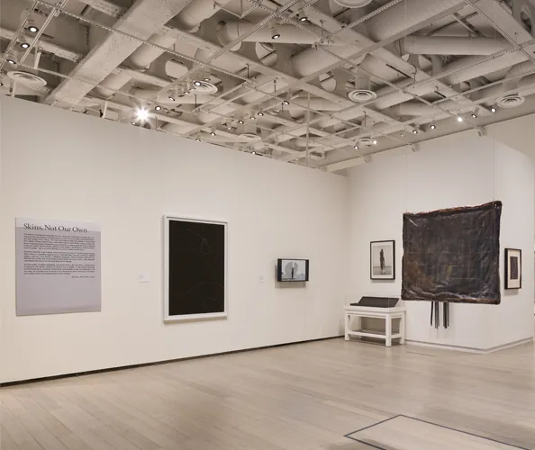 Installation view of the exhibition "Skins: Not Our Own," on view at the Wallach Art Gallery from March 28 - April 12, 2026. Photograph by Olympia Shannon. Courtesy the Wallach Art Gallery.