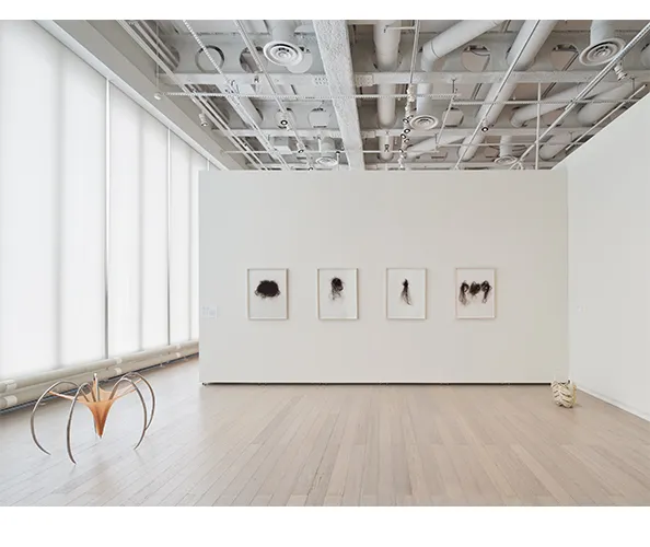 Installation view of "Traces of Care," on view at the Wallach Art Gallery from March 29 - April 13, 2025. Photograph by Olympia Shannon. Courtesy the Wallach Art Gallery.