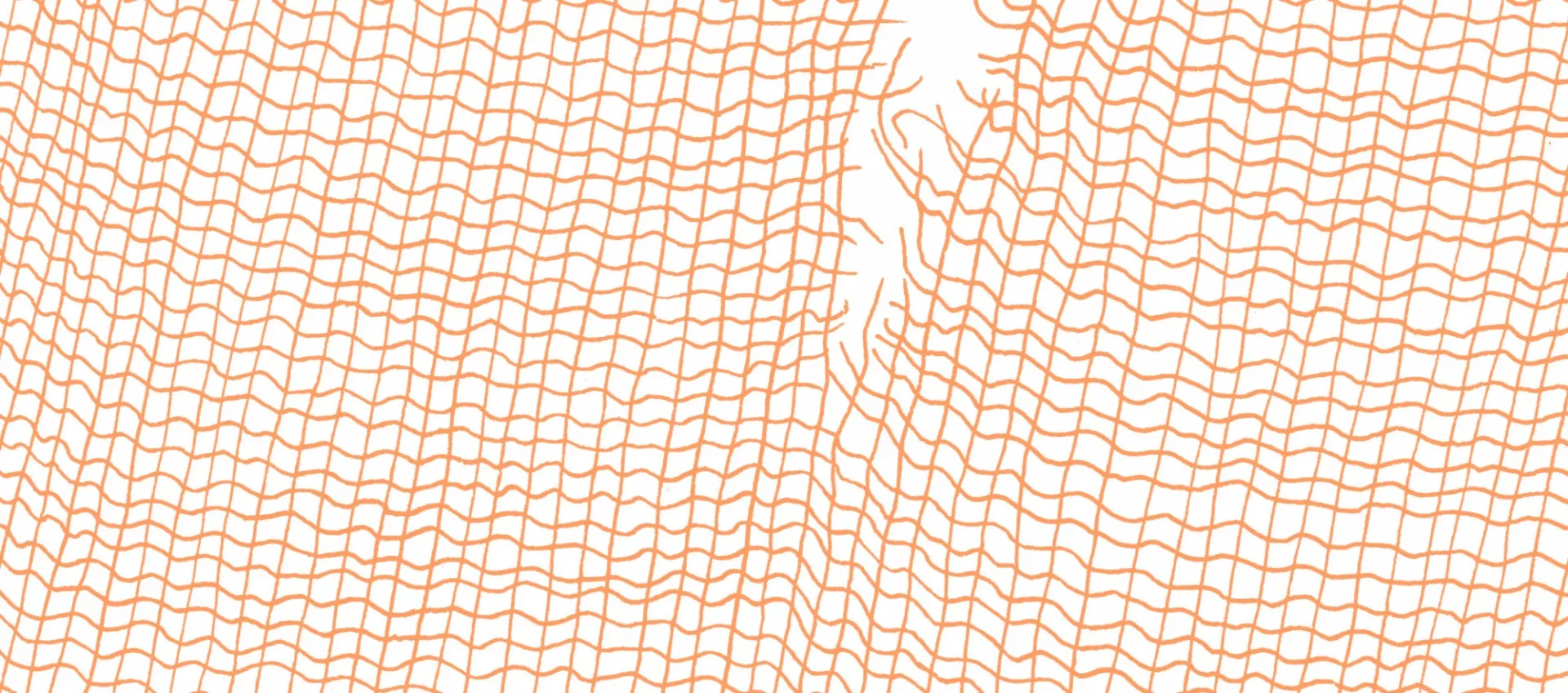 Illustration courtesy of Ana Rivera.