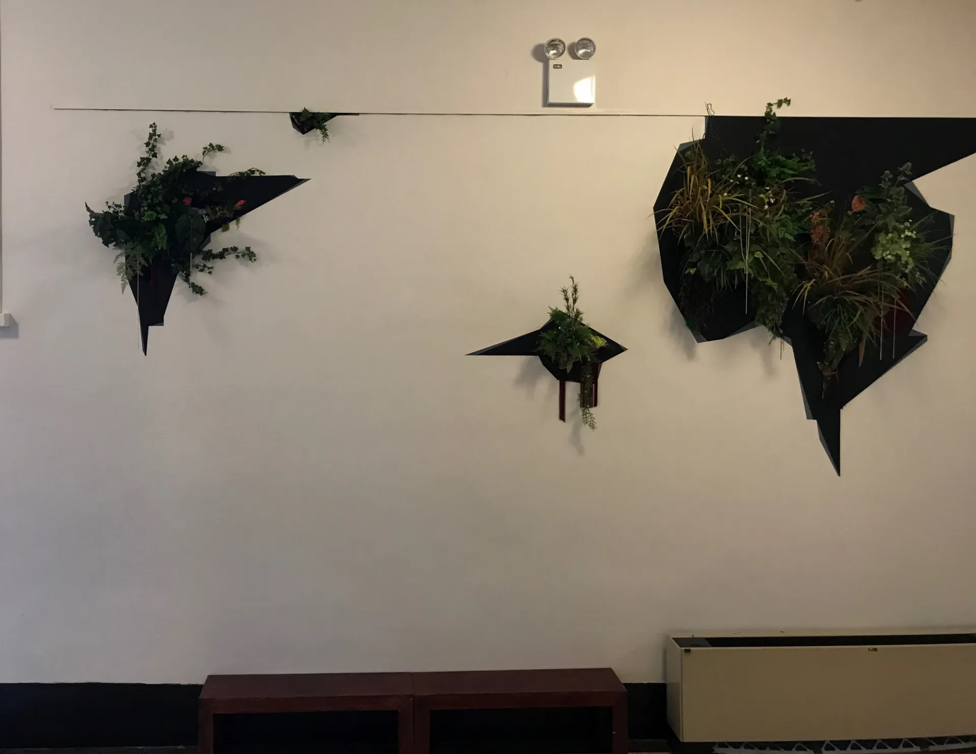 Lina Puerta. Manigua, 2017 (installation view). Photo courtesy the artist.