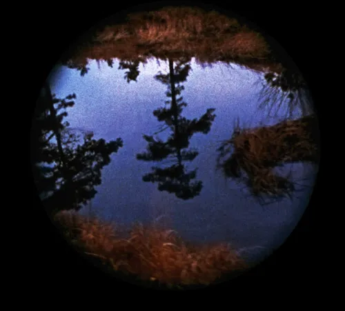 Nancy Holt. Pine Barrens, 1975. Still from 16-mm film. Courtesy the artist © Nancy Holt.