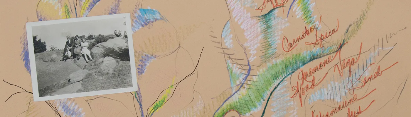 Rosemary Mayer, In Time Order (Day Lily), 1978, detail. Courtesy the estate of Rosemary Mayer and Gordon Robichaux, New York. 