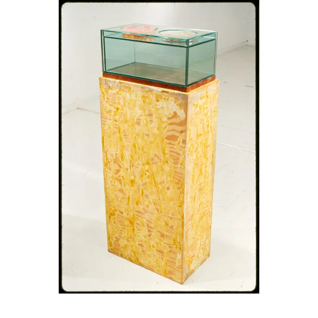 Liz Larner. Orchid, Buttermilk, Penny, 1987/2013. Wooden pedestal, stone plinth, petri dish with orchid, buttermilk, penny, and glass; 43-3/8 x 17-1/2 x 10-1/8 inches. Private collection. Image courtesy Regen Projects, Los Angeles. Copyright Liz Larner.