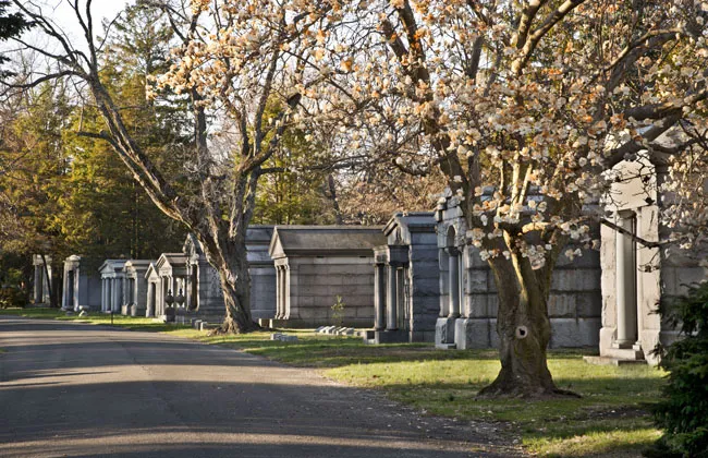 Park Avenue lined with modestly-scaled mausoleums set close together on small lots. Photograph by Gavin Ashworth. Courtesy The Woodlawn Cemetery.