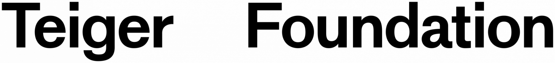 Tieger Foundation